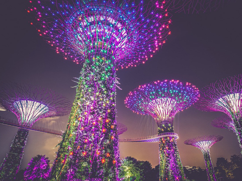 Jardines-bahía-Singapur